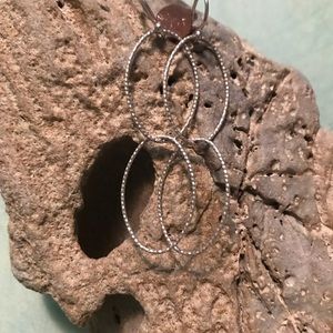 Dante oval hoop earrings